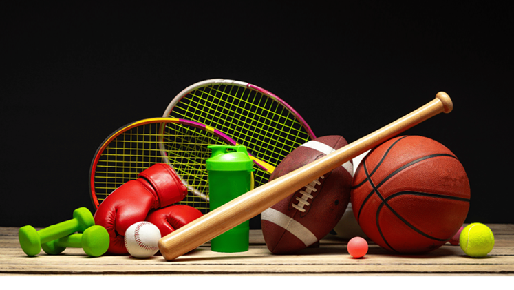 Online Gaming Guide HCDEsports